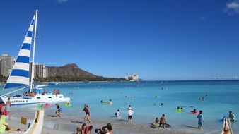 people on a sunny beach in hawaii