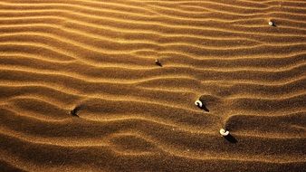 smooth streaks of a sandy beach