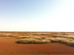 red beach under the uncloudy sky