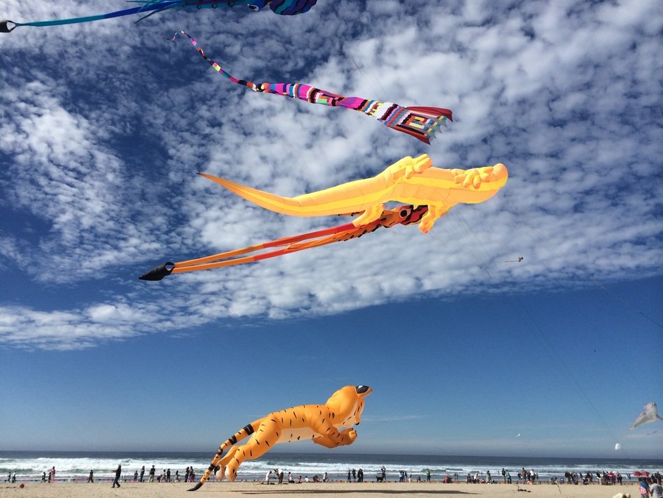 big yellow kites