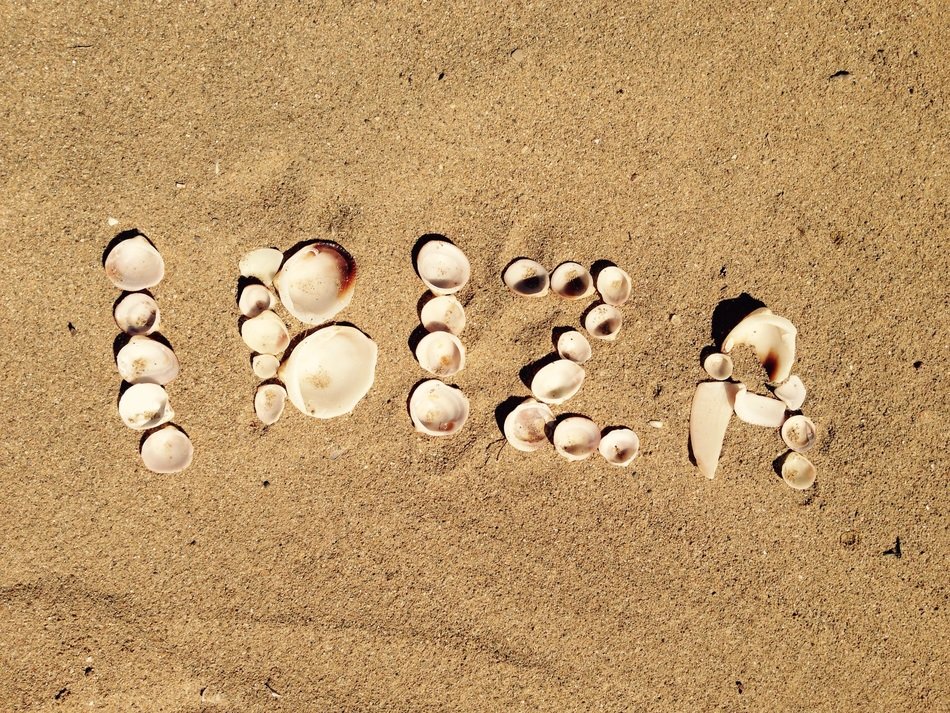 Ibiza lined with shells on a beach in Spain