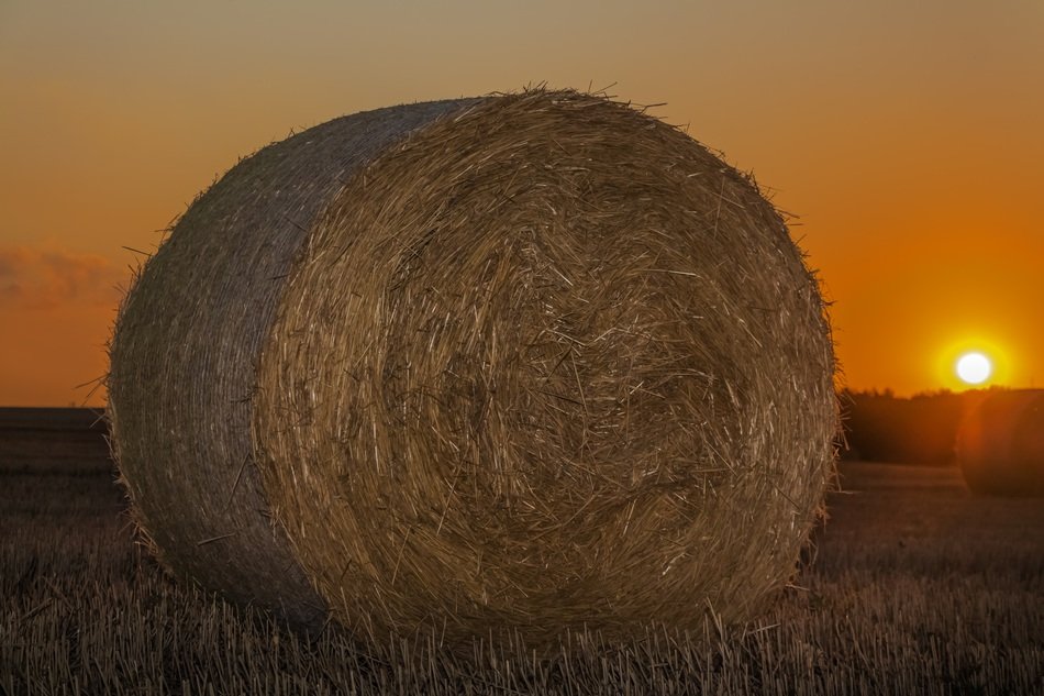 straw bale in the beautiful sunset