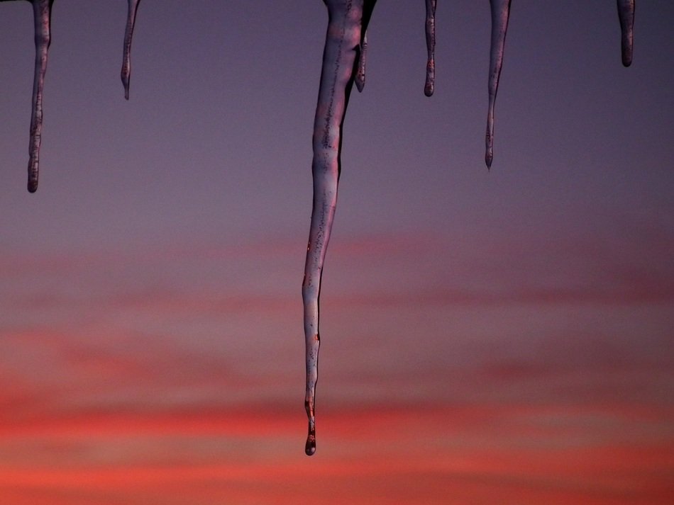 melting icicle in the evening