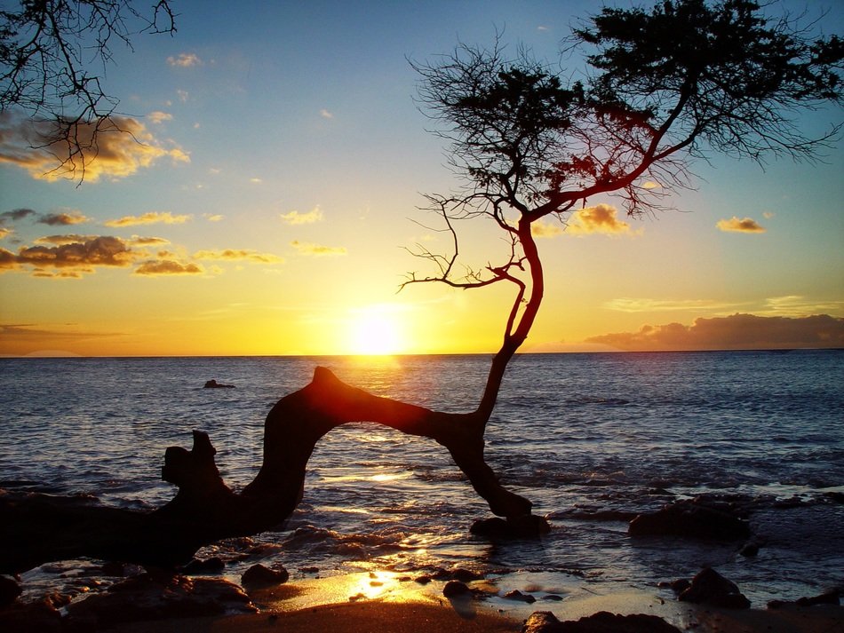 sunset over the ocean on the coast of Hawaii