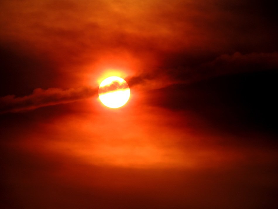 sunset against light