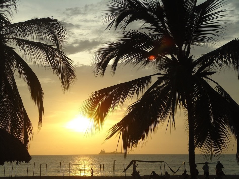 beach palmas
