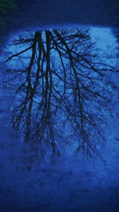 mirror image of the evening landscape