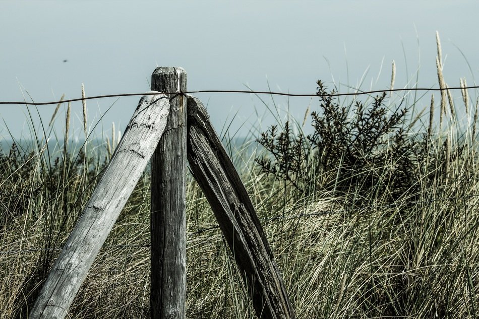 wire fence in grass on dune