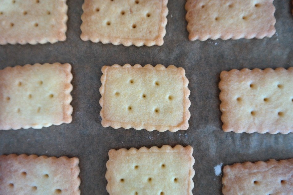 springerle cookie close-up
