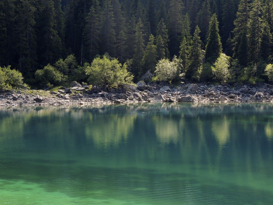 green water in the lake