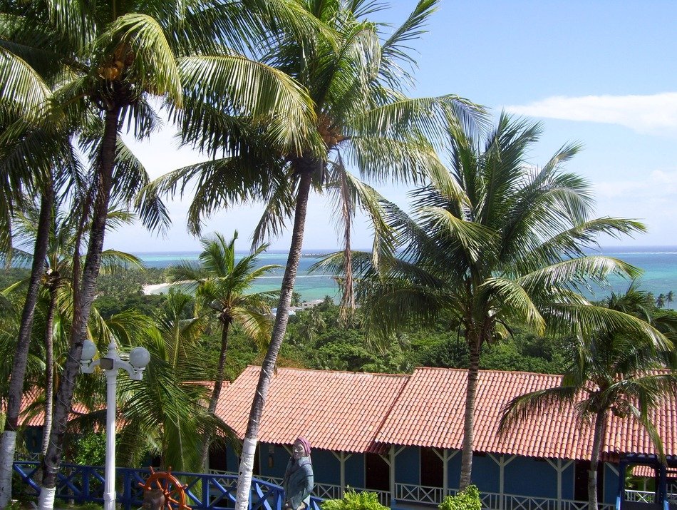 Palm trees and dwellings on beaches in columbia