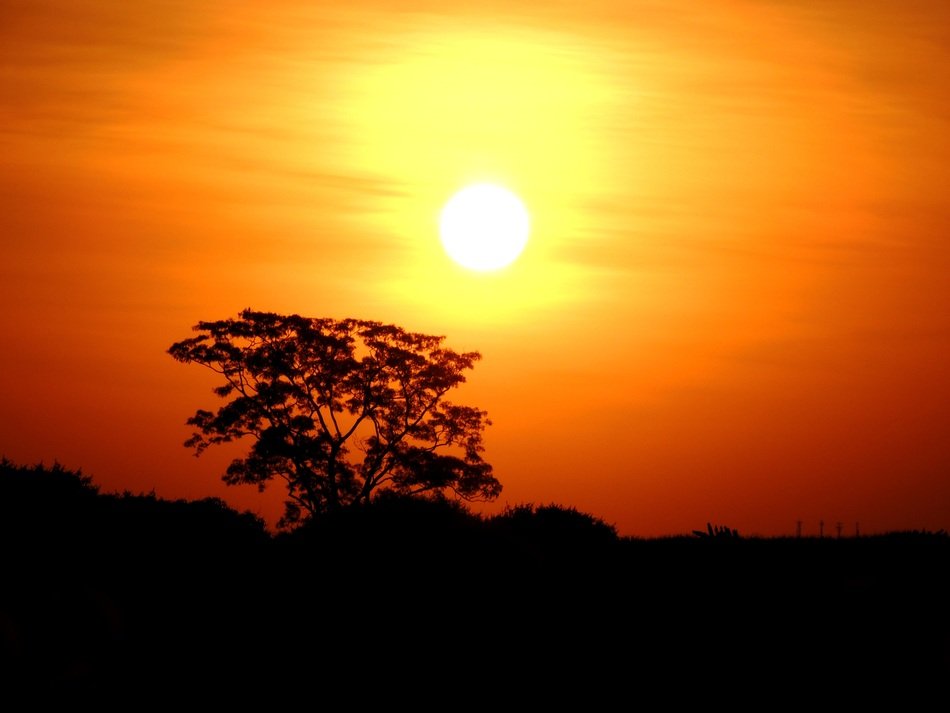 Red clouds in the sun