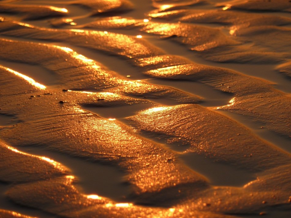 golden sand beach at sunset