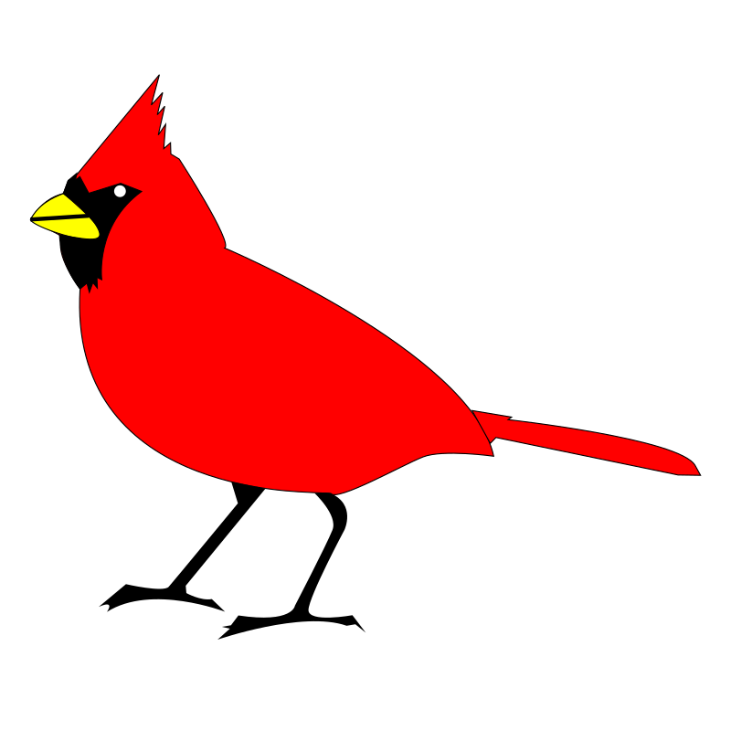 Red Bird Free Image Download