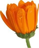 Flower By Yves Guillou drawing