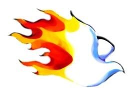 painted fire dove