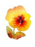 Gold Flower Watercolor Element