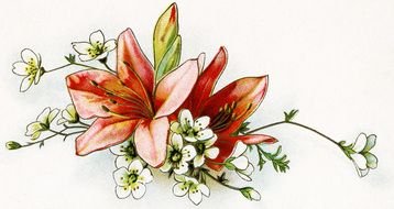 painted bouquet of red lilies and white flowers