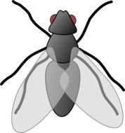 Clipart Information Name Fly Category Others Resolution