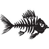Skeleton Fish drawing