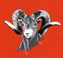 Ram Head Art Acrylic & Pencil