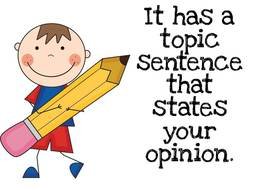 opinion writing