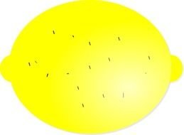 Yellow Images & Pictures Becuo