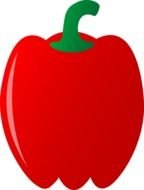 big Red Pepper drawing