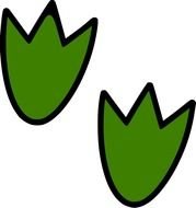 painted green duck tracks