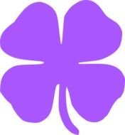 Leaf Clover Vector