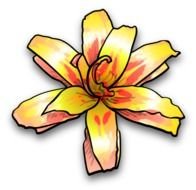 Fall Flowers Frees That You Can Download To