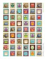 clip art of funny owls