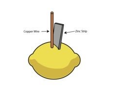 scientific experience with lemon