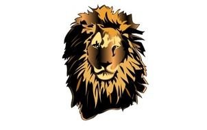 Lion Head For Kids Panda Free Images