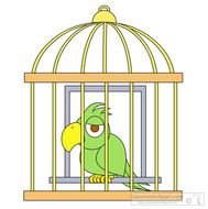 Bird Green Parrot In Gold Cage Classroom