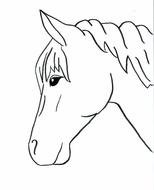 Horse Drawings To Trace Horses