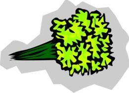 clipart of the green flowers bouquet