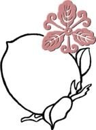 Peach Flower Frame drawing