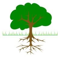 green tree with roots on a white background