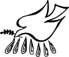 Holy Spirit Dove drawing