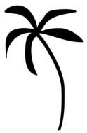 black palm tree on a white background