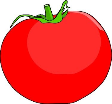 Tomato Slice Pictures
