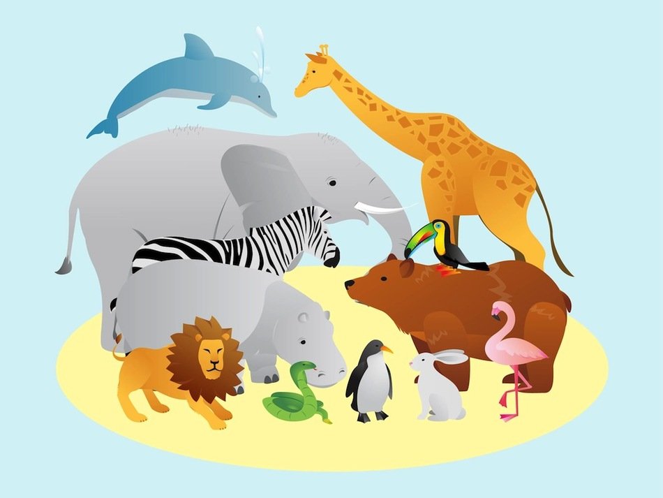variety of animals on the island as a picture for clipart