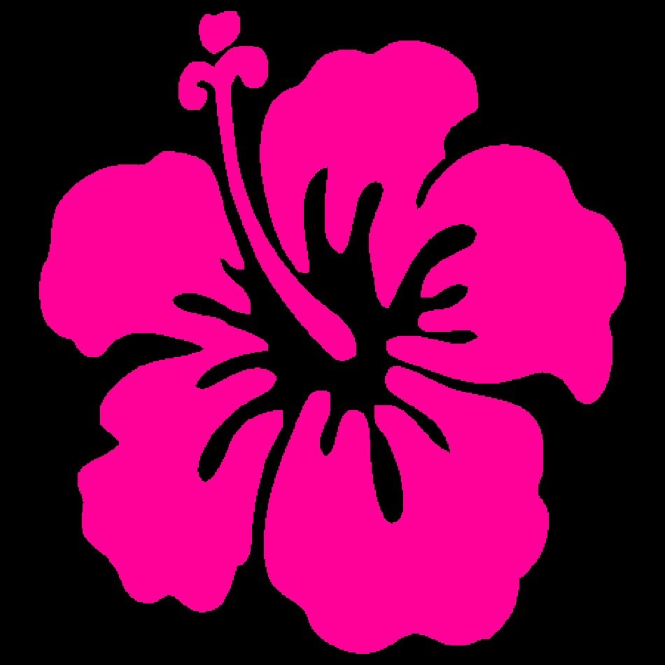 Hawaiian Clip Art 13 Best Blog