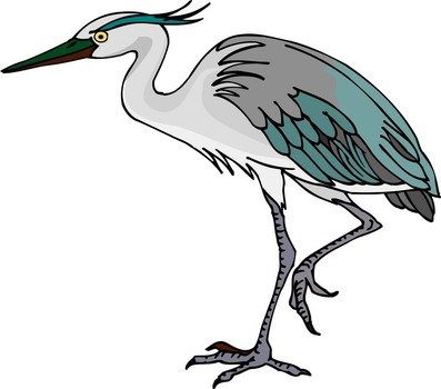 Go Back &gt Gallery For Heron clipart