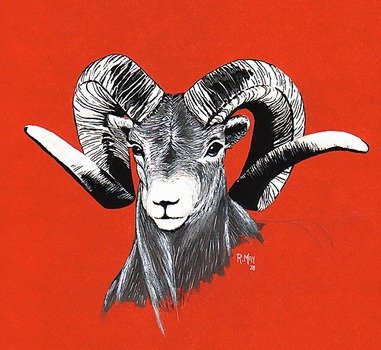Ram Head Art Acrylic & Pencil