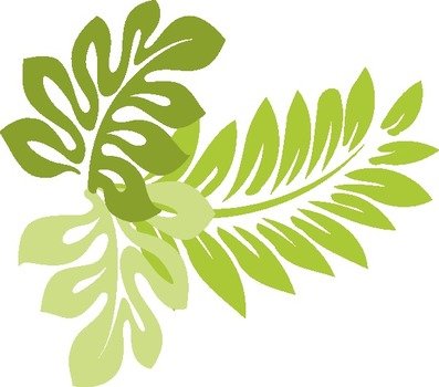 green hibiscus leaves on a white background