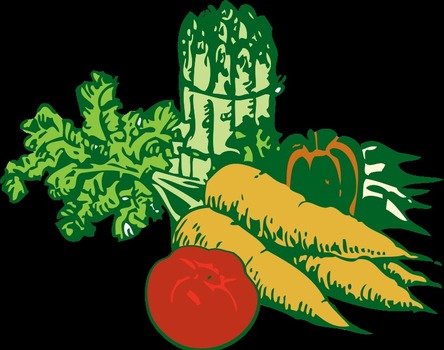 drawn ripe vegetables on a black background