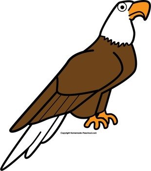 Cute Eagle Space &gt