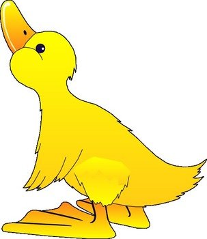 Young Duck At Clkercom Vector Online Royalty